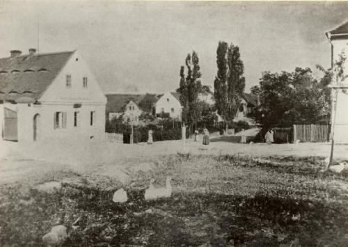 Dobová fotografie - Čejkovice (r. 1900)